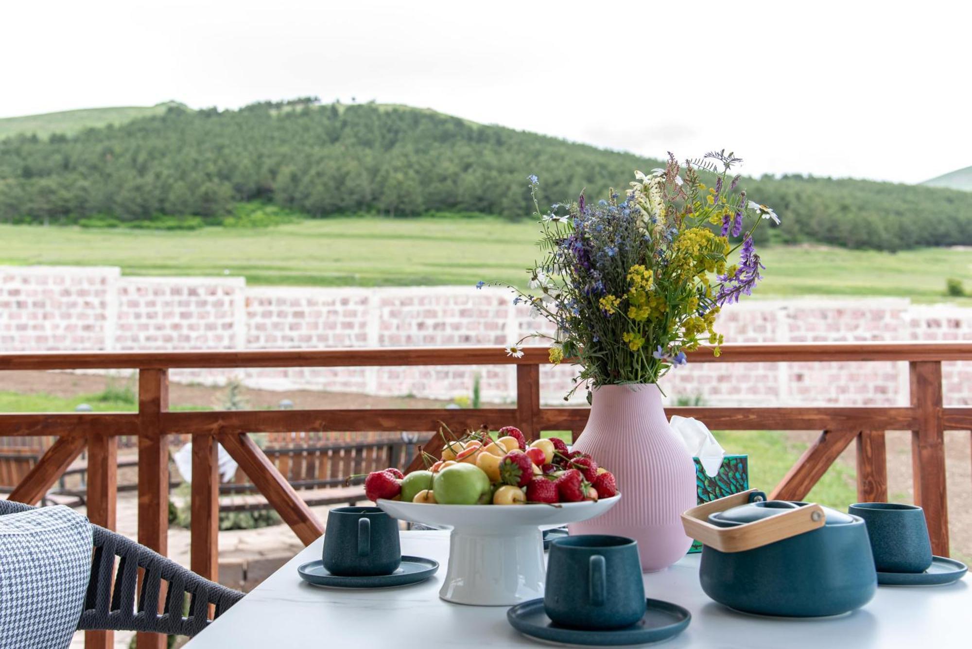 Guest House With Mountain View In Aparan Exteriör bild